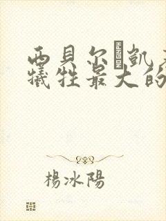 西贝尔·凯基莉牺牲最大的电影是哪一