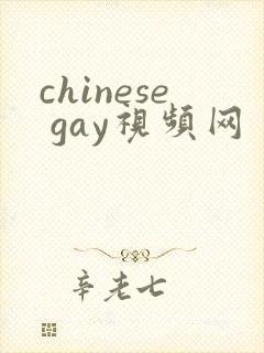 chinese gay视频网封面
