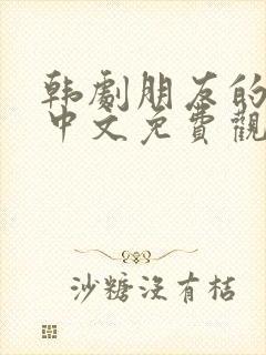 韩剧朋友的妈妈中文免费观看