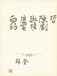 白鹿与陈哲远演的电视剧