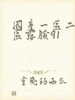 国产一区二区三区露脸91