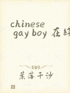 chinese gay boy 在线视频