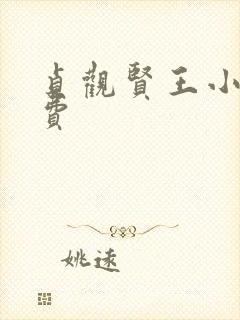 贞观贤王小说免费封面