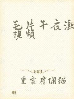 毛片午夜激情小视频