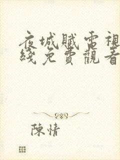 夜城赋电视剧在线免费观看