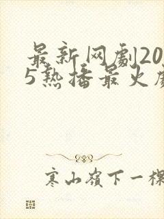 最新网剧2025热播最火剧免费观看