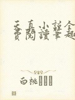 天真小说全文免费阅读笔趣阁封面