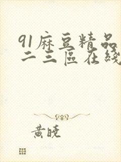 91麻豆精品一二三区在线