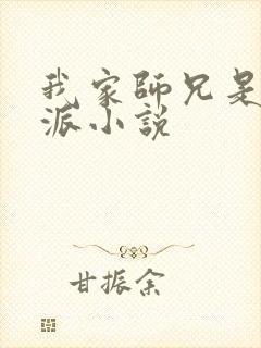 我家师兄是大反派小说