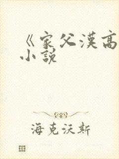 《家父汉高祖》小说封面