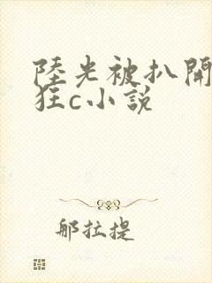 陆光被扒开双腿狂c小说