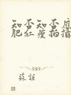 知否知否应是绿肥红瘦拍摄时间