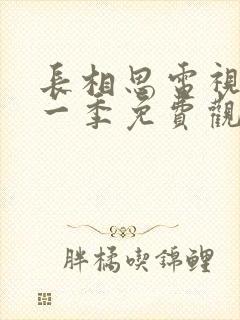 长相思电视剧第一季免费观看完整版