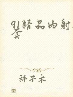 91精品内射无套