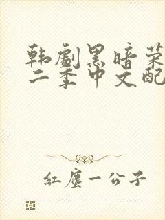 韩剧黑暗荣耀第二季中文配音