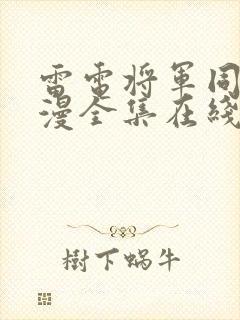 雷电将军同人动漫全集在线观看免费