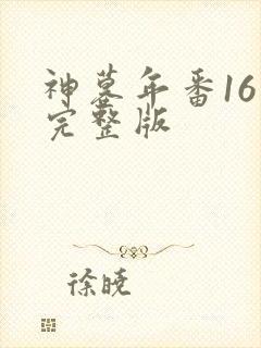 神墓年番16集完整版