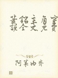 萧铭主角穿越小说全文免费阅读封面