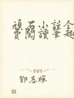 顽石小说全文免费阅读笔趣阁