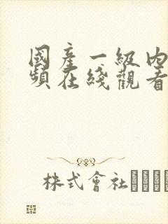 国产一级内射视频在线观看