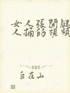 女人张开腿让男人捅的视频