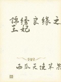 锦绣良缘之北地王妃