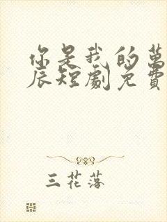 你是我的万千星辰短剧免费观看全集