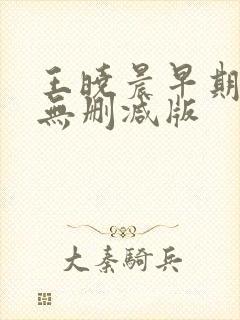 王晓晨早期三级无删减版封面