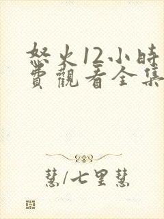 怒火12小时免费观看全集