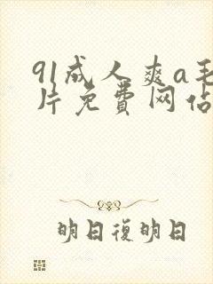 91成人爽a毛片免费网站下载