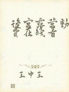 后宫露营动漫免费在线看