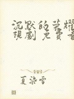 沉默的荣耀 电视剧 免费看