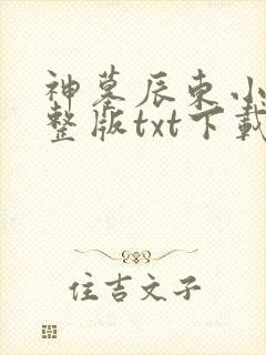 神墓辰东小说完整版txt下载封面