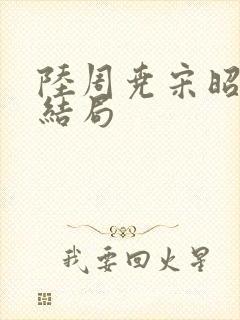 陆周尧宋昭绵大结局封面