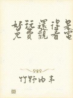 好玩还得是嫂子免费观看电视剧