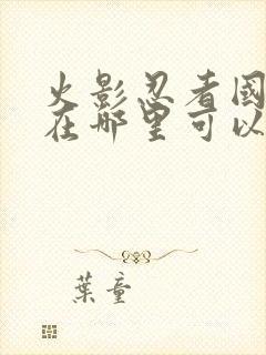 火影忍者国语版在哪里可以看