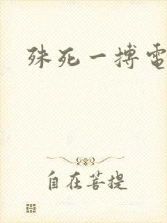 殊死一搏电影