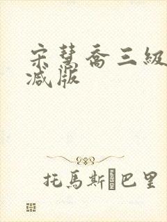 宋慧乔三级无删减版