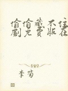 偷偷藏不住电视剧免费版在线