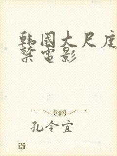 韩国大尺度19禁电影封面