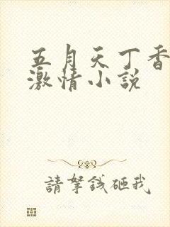 五月天丁香婷婷激情小说