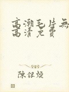 高潮毛片无遮挡高清免费封面