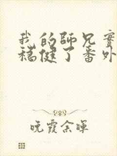 我的师兄实在太稳健了番外篇封面