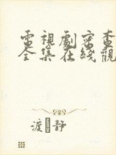 电视剧密查免费全集在线观看谍战迷封面