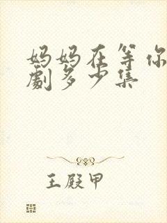 妈妈在等你连续剧多少集