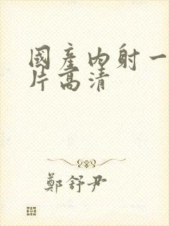 国产内射一级一片高清