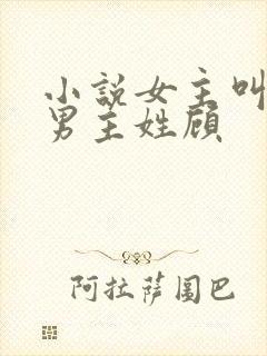 小说女主叫苏曼男主姓顾