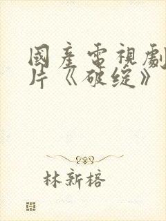 国产电视剧谍战片《破绽》免费观看