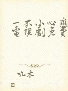 一不小心恋爱了电视剧免费观看全集