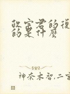 政宗君的复仇讲的是什么封面